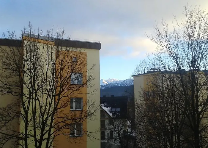 Apartament 8